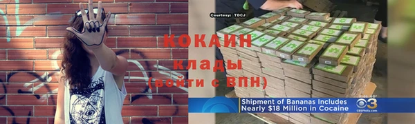гашик Михайловск