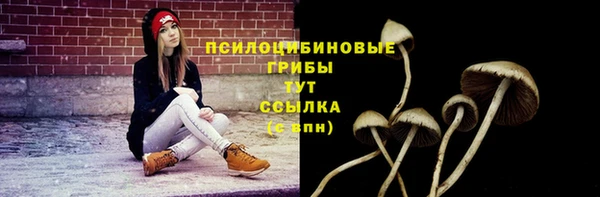 дурь Навашино