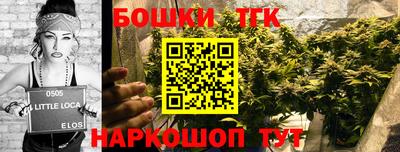 молекула духа Гатчина