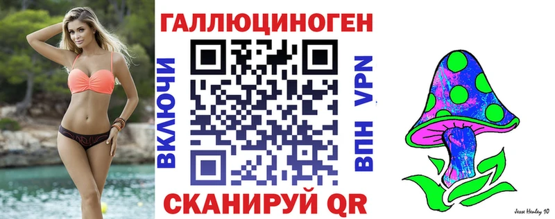 Псилоцибиновые грибы Psilocybe  купить наркоту  Нарткала 