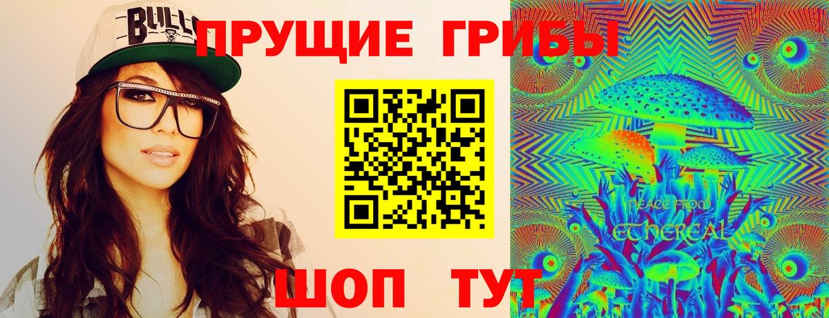 Нарткала  Галлюциногенные грибы Psilocybine cubensis  Вход с VPN 